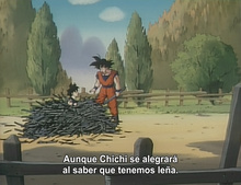 Dragon Ball Z: Saiya-jin Zetsumetsu Keikaku